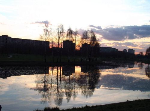00270_500.jpg