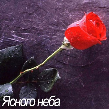 С 23 февраля!!!